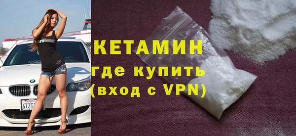 хмурый Аркадак