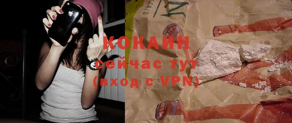 хмурый Аркадак