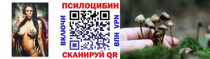 Галлюциногенные грибы мицелий  Печоры 